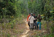 Hari Ketiga, SAR Natuna Temukan Empat Warga Tersesat di Hutan Gunung Bedung dalam Ko