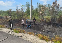 Satgas Karhutla Pantau Kebakaran Sungai Kemala