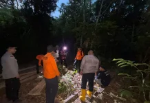 SAR Ingatkan Keselamatan saat Masuk Hutan