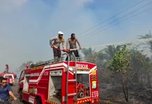 Kebakaran Lahan Kosong di Bunguran Batubi Berhasil Dipadamkan