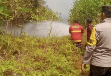 Kebakaran Lahan di Bunguran Batubi Meluas, Sekitar 45 Ha Terbakar