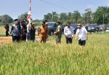 HKTI Kepri Dorong Pertanian Natuna Berkembang