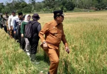 Irigasi Sawah Bunguran Batubi Diresmikan
