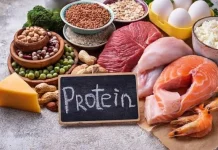 Pilihan Makanan Tinggi Protein untuk Dukung Tubuh Sehat