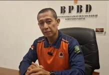 BPBD Natuna Catat 135 Karhutla sejak Januari 2026