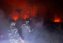 TNI AL dan Instansi Terkait Padamkan Karhutla 20 Ha di Batubi