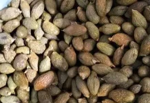 Manfaat Buah Kembang Semangkuk untuk Kesehatan