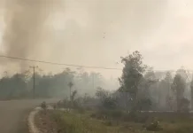 Pemerintah Bagikan Masker Antisipasi Dampak Kabut Asap