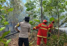 Lima Jam Berjibaku, Polres Natuna dan Damkar Cegah Api Meluas