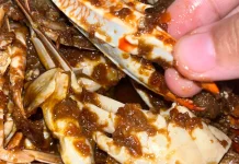Resep Kepiting Sambalado Khas Minang, Pedas Gurih Bikin Nagih
