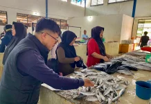 Kenali Cara Memilih Ikan Segar dan Layak Konsumsi
