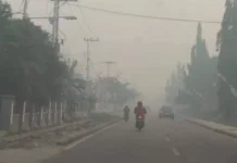 Kabut Asap Mengganggu Kesehatan, Kenali Bahaya dan Cara Mengatasinya