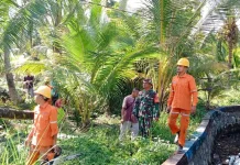 Babinsa Serasan Timur Bantu PLN Bersihkan Dahan Pohon yang Ganggu Jaringan