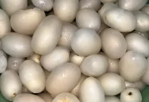 Musim Rambutan Tiba, Buah Berbulu Kaya Manfaat untuk Kesehatan