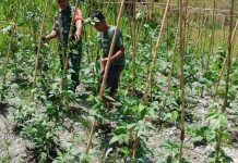 Babinsa Air Payang Jalin Komsos Dengan Warga