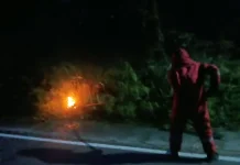 Damkar Natuna Evakuasi Sarang Tawon di Sebintang
