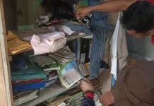 Damkar Natuna Evakuasi Ular Piton di Rumah Warga Ranai Kota