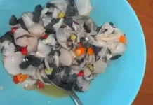 Lezat dan Gurih, Ini Resep Silong Pasek Khas Natuna yang Menggugah Selera