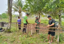 Babinsa Awasi Pembangunan KDKMP Desa Payak