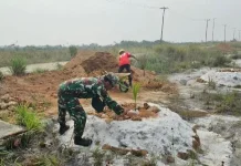 Babinsa Bantu Petani Tanam Kelapa di Jermalik
