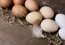 Tips Memilih Telur yang Baik, Kenali Bentuk dan Kondisi Cangkangnya