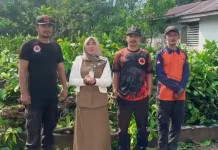 BPBD Natuna Bantu Tebang Pohon Berbahaya di Ranai Darat