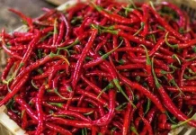 Cabe, Ini Manfaatnya untuk Saluran Pencernaan