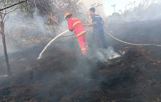 Damkar Natuna Atasi Kebakaran Lahan di Air Mulung