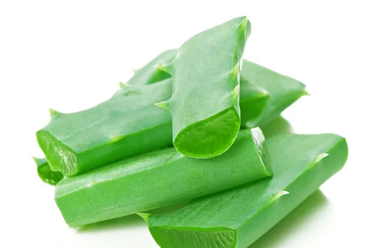 Tanaman Lidah Buaya dan Beragam Manfaatnya