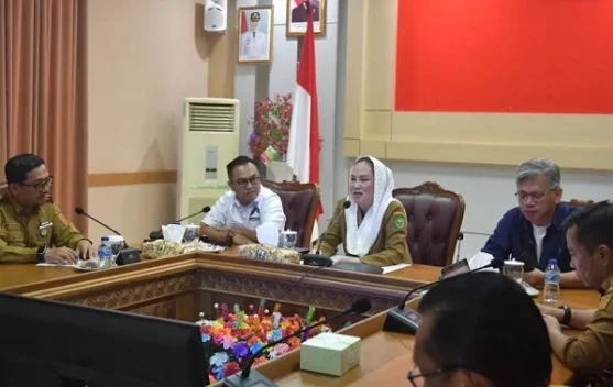 Bupati Natuna dan Bappenas RI Bahas Geopark Natuna, Usulkan Masuk UGGP