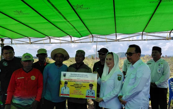 Pemkab Natuna Salurkan Bantuan Petani Korban Karhutla
