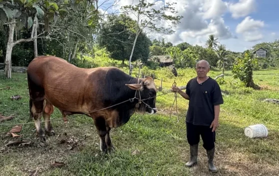 Hangatnya Idul Adha di Kampung Halaman