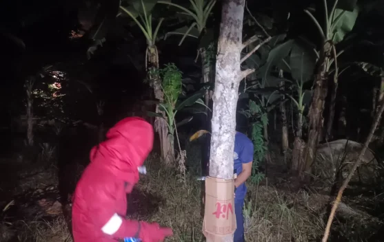 Damkar Natuna Tingkatkan Pelayanan Penanganan Non Kebakaran