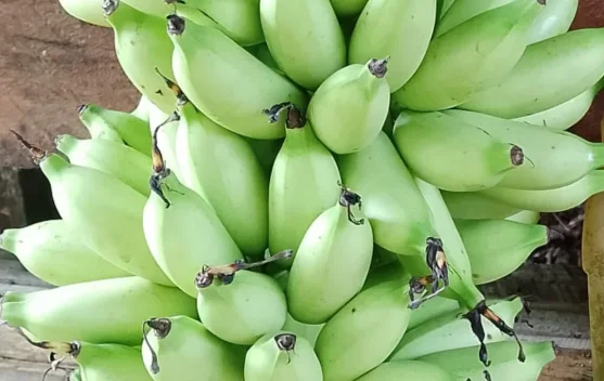 Pisang Ulin Pencuci Mulut