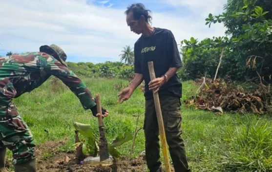 Babinsa Serasan Timur Dukung Warga Kembangkan Pertanian Pala