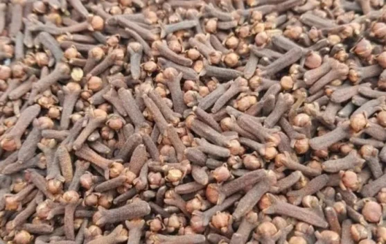 Harga Cengkeh Kering di Ranai Stabil