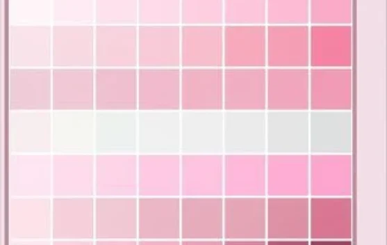 Melihat Pink dari Sisi Berbeda: Sejarah Unik hingga Efek Penenang Jiwa