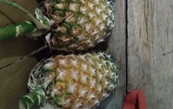 Kandungan Vitamin Buah Nanas yang Baik untuk Kesehatan