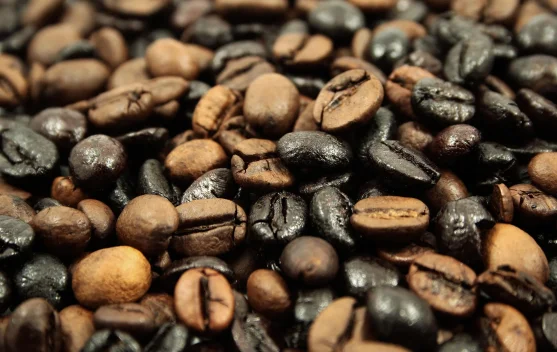 Mengenal Perbedaan Kopi Robusta dan Arabika