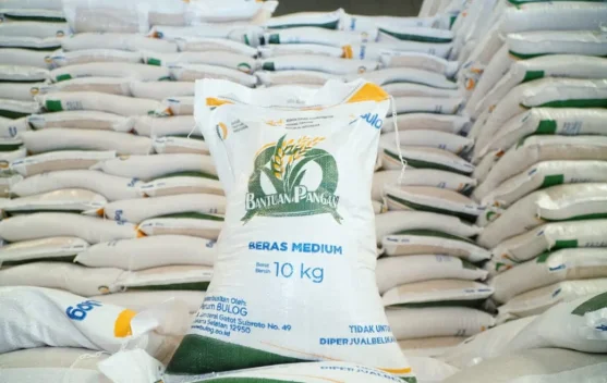 Pemerintah Salurkan 997,2 Ribu Ton Beras Mulai Agustus, Jangkau 33,24 Juta KPM
