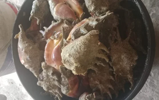 Mengolah Sajian Kerang Ranga Gurih ala Mak Cik Sur