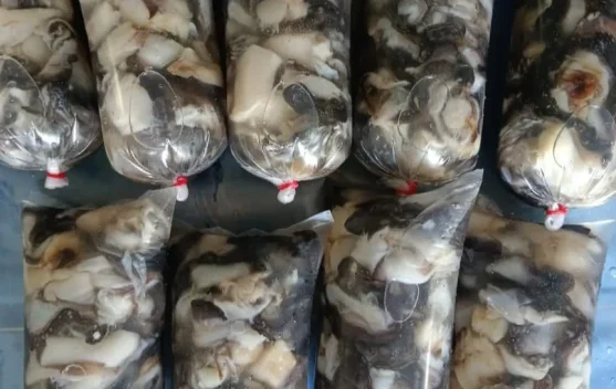 Resep Tumis Kerang Pasek Pedas Gurih ala Vira Khas Natuna
