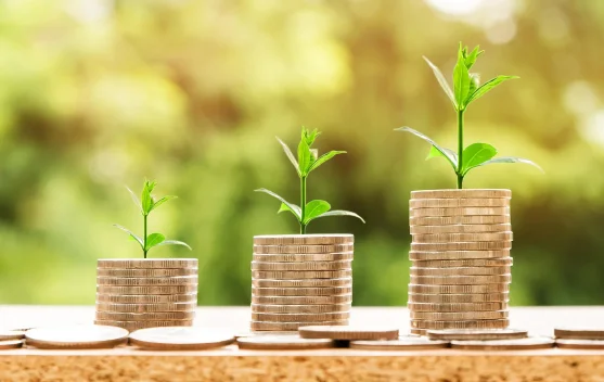 Pentingnya Investasi dari Sekarang