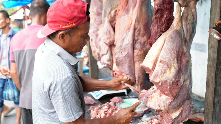 Ternak Meugang di Sabang Dipastikan Bebas Cacing Hati