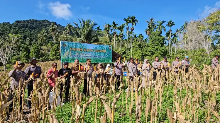 Panen Perdana Jagung BUMG Jaboi Dukung Ketahanan Pangan