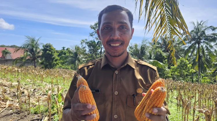 Keuchik Jaboi Dukung Penuh Program Ketahanan Pangan Desa