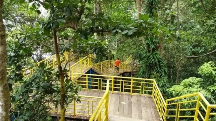 Taman Hutan Sabang Tawarkan Panorama Laut di Kawasan Nol Kilometer