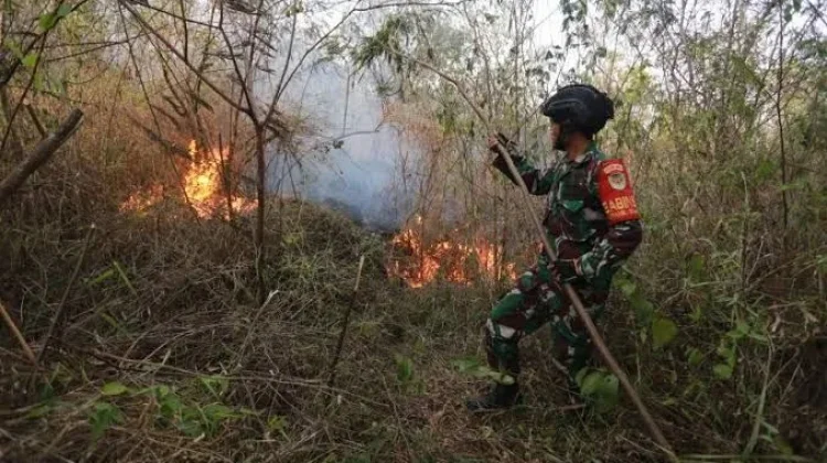 BMKG Peringatkan Potensi Karhutla, 140 Titik Panas Muncul di Aceh