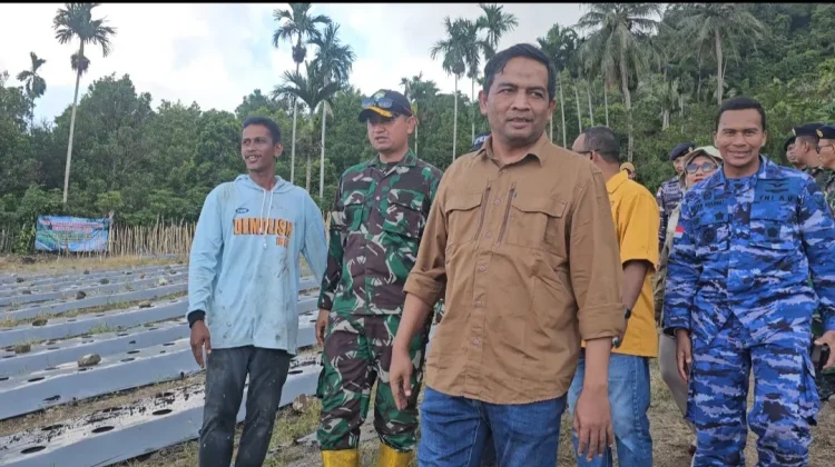 Pemko Sabang Dukung Budidaya Cabai BUMG