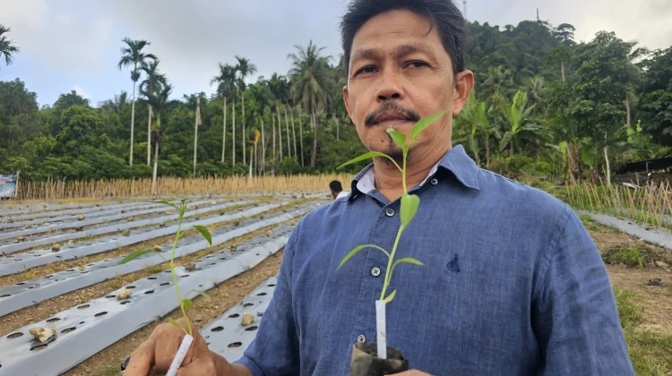 Ketahanan Pangan Lanjutan Jadi Fokus Pembangunan Desa di Sabang